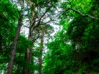 Torc Waterfall
